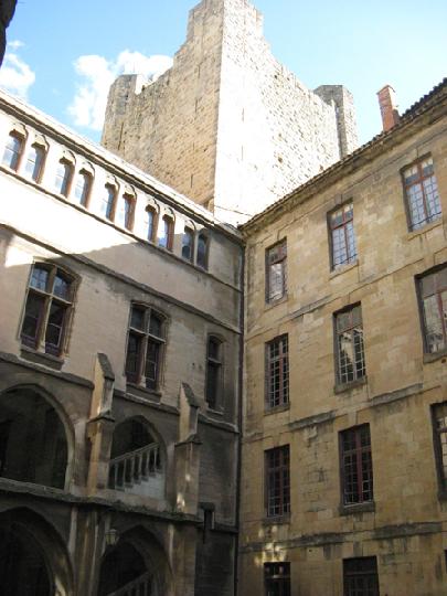 06 - Narbone 004.JPG